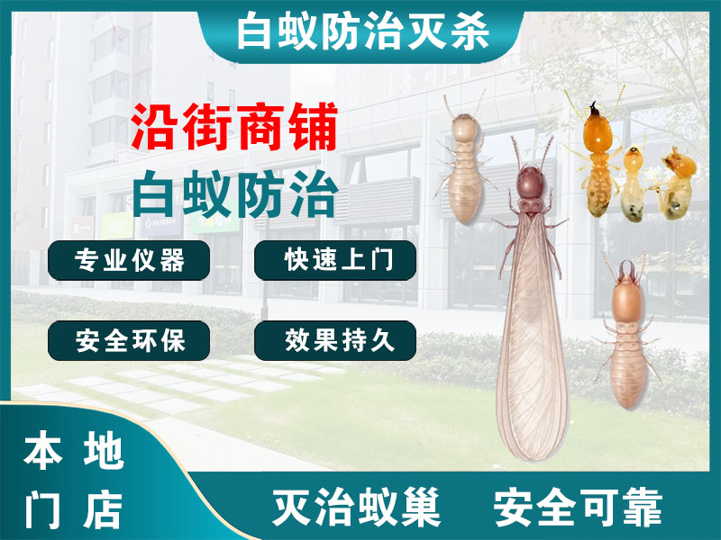 嘉善沿街商铺白蚁防治