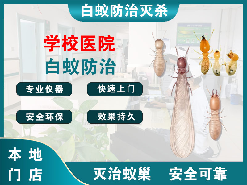 嘉善学校医院白蚁防治