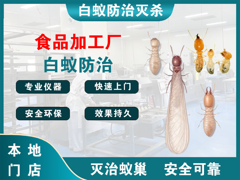 嘉善食品加工厂白蚁防治
