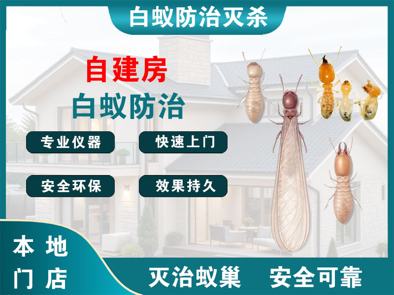 嘉善自建房白蚁防治