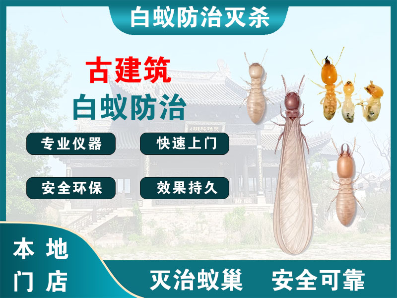 嘉善古建筑白蚁防治
