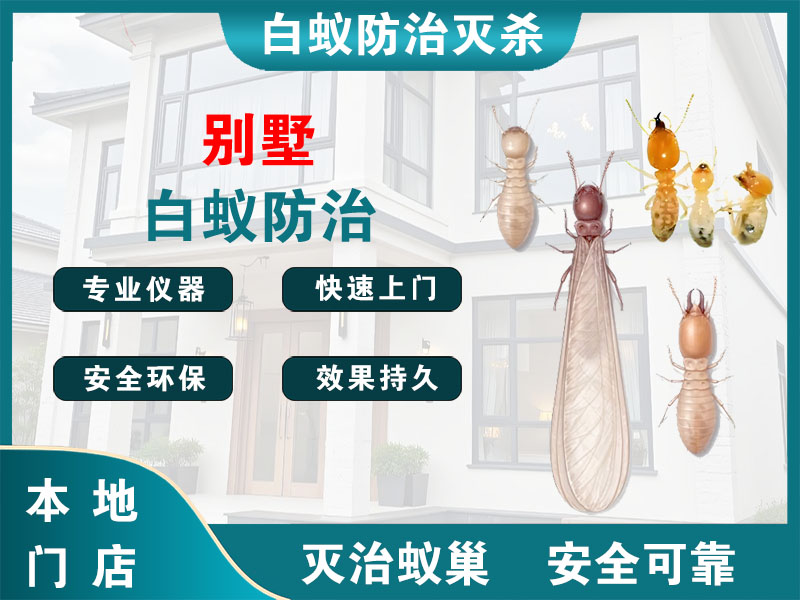 嘉善别墅白蚁防治