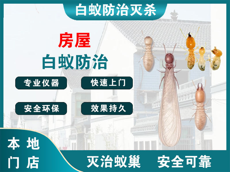 嘉善房屋白蚁防治